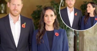Prince Harry and Meghan Markle look stiff in first joint appearance in nearly 2 months