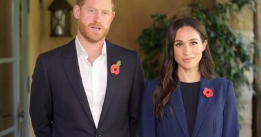 Harry, 40, and Meghan, 43, both wore dark blazers with poppy pins fastened on their lapels, in a video message about online violence against children