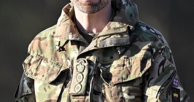 William, 42, donned combats this morning when he spent time with the 1st Battalion Welsh Guards in his capacity as colonel of the regiment - a ceremonial role he assumed in December 2022