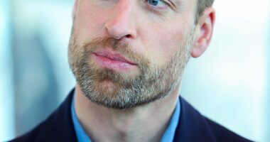 According to Prince William (pictured in Cape Town on Thursday) he has experience the hardest year of his life