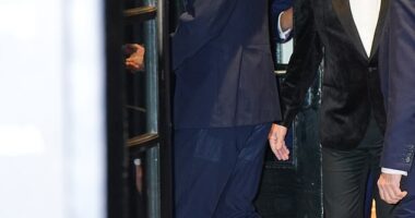 Prince William has arrived at the 2024 Tusk Conservation Awards in London