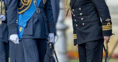 Prince William 's dashing royal equerry Rob Dixon has shared an emotional message to LinkedIn as he prepares to bid farewell to the role (pictured in September)