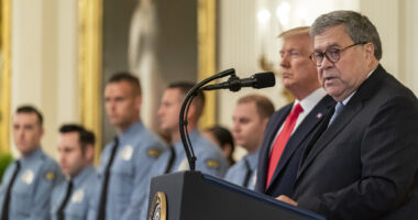 Prosecutors Must Drop Lawfare Cases Against President-Elect Trump.