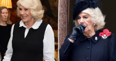 Queen Camilla 'on the mend' after chest infection