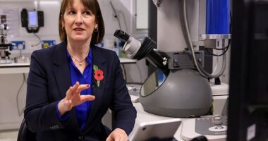 Chancellor Rachel Reeves (pictured at Cambridge Biomedical Campus) will confirm she is pressing ahead with plans to merge pension schemes to create 'megafunds' capable of investing in major infrastructure projects and emerging industries