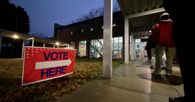 Ranked Choice Voting Fails Bigly Almost Everywhere