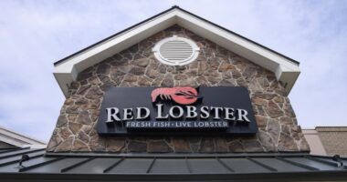 Red Lobster CEO says endless shrimp is never coming back: ‘I know how to do math’