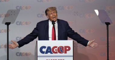 Republican Assembly Leader Asks President-Elect Trump to Act As a 'Partner' to Fix California – RedState