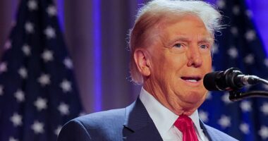 It opens the door for Republicans to have unchecked power to push through all of their policies alongside Trump in his first two years in office