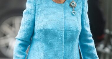 The Queen had to pull out of attending the Royal Variety Performance last week ¿ one of a number of engagements she's now missed through a chest infection