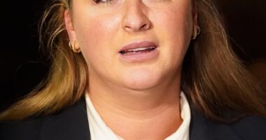 McGregor, 36, faced an accusation that he 'brutally raped and battered' Nikita Hand (above), 35, at a hotel in south Dublin in December 2018
