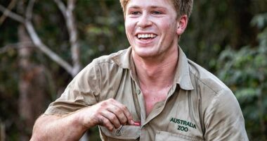 Robert Irwin has debuted a surprising new look. The Australian wildlife warrior has ditched his Australia Zoo khakis and turned up the heat on the latest cover of Stellar magazine