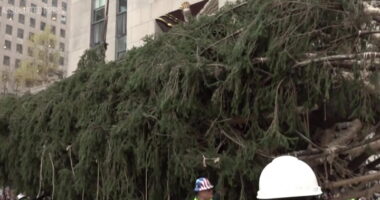 Rockefeller Center Christmas Tree arrives in New York City