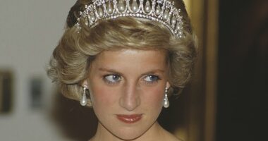 It's no secret that the Spencer family has a strong pool of genes, as Princess Diana had one of the most recognisable faces in the world
