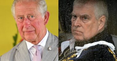 Royal news live: King Charles ‘axes’ Prince Andrew’s £1m allowance due to Royal Lodge row