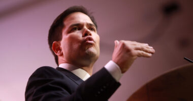 Rubio Worked with Hillary's Running Mate to 'Trump-Proof' NATO.
