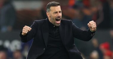 Ruud van Nistelrooy has been linked with a shock return to 2. Bundesliga side Hamburg