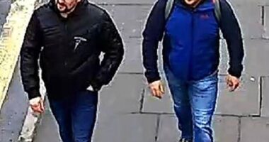 The two Russian agents behind the notorious Salisbury Novichok poisonings are 'spearheading Vladimir Putin 's new campaign of sabotage in Western countries', new reports claim