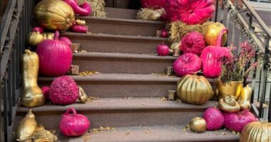 The pumpkin pirates made off with the magenta and gold painted squash this week after the star lavishly decorated the stoop of her New York City home