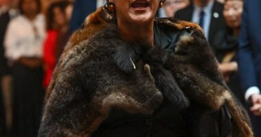 Lidia Thorpe (pictured) is eligible to be a senator despite her claim she pledged allegiance to Queen Elizabeth's 'hairs' when she was sworn in to parliament