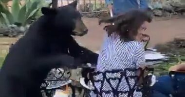 The woman reacted by turning her face away and remained seated after she was grazed by the bear during an attack at the Chipinque Hotel
