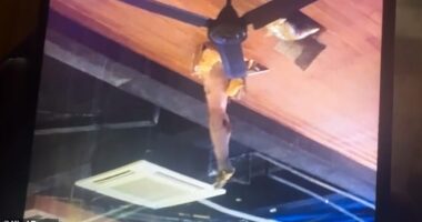 A British tourist was rescued in Thailand after he fell from a hotel balcony while allegedly intoxicated and covered in faeces