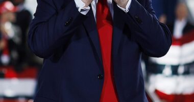 Donald Trump is preparing a series of moves against illegal immigrants that will 'shock and awe', members of his inner circle have said