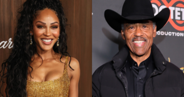 Social Media Cuts UP After Richard Lawson Drops THIS Message Under Meagan Good's Video