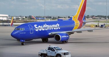 A Southwest Airlines plane carrying passengers has been struck by a bullet amid gunfire near a Texas airport