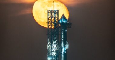 SpaceX launch live: Starship Flight 6 watching guide as Elon Musk tries to land rocket with ‘chopsticks’