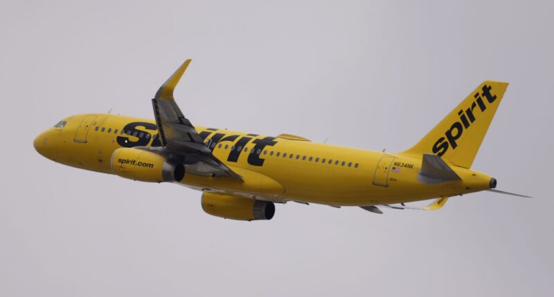 Spirit Airlines Plane Hit By Gunfire While Attempting To Land In Haiti