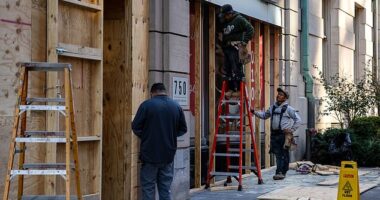 Stores and buildings near the White House have began boarding up their windows just days ahead of the 2024 presidential election as the country braces for violence