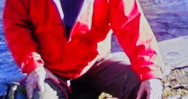 North Wales Police said a body had been found in the search for 75-year-old Brian Perry (pictured), who went missing in the River Conwy on Saturday