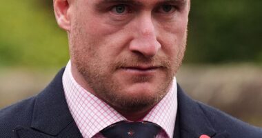 The former Scottish rugby international Stuart Hogg has pleaded guilty to a charge of domestic abuse against his ex-wife yesterday