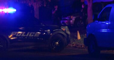 Suspected shooter and 4 others are found dead in 3 Kansas homes, police say