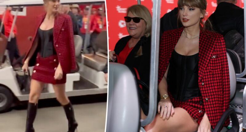 Taylor Swift scolds security guard who screams at photographers