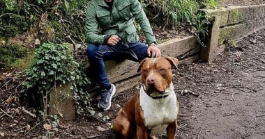 Christopher Bell, pictured with his tan and white XL Bully called Titan prior to the incident on October 3 last year, is facing jail after his 'out of control' mutt mauled his neighbour to death