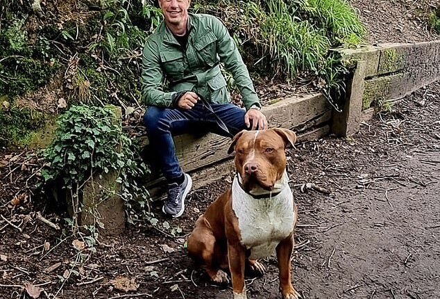 Christopher Bell, pictured with his tan and white XL Bully called Titan prior to the incident on October 3 last year, is facing jail after his 'out of control' mutt mauled his neighbour to death