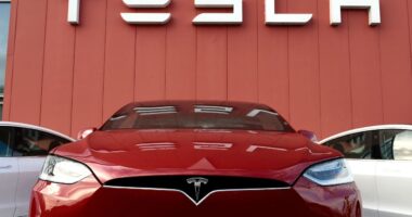 Tesla is new pick for Daniel Loeb’s Third Point, as hedge fund ditches Uber