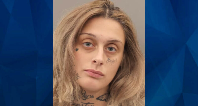 Texas Mom Allegedly Tried to Sell Newborn on Facebook