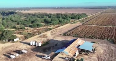 Texas Offers 1,400 Acres for Migrant Detention Center.