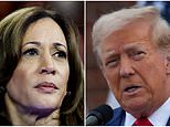 The 20 counties where Kamala Harris lost the most votes to Donald Trump
