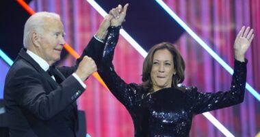 The Back-Stabbing Between Harris and Biden Begins, and Things Are Getting Very Spicy – RedState