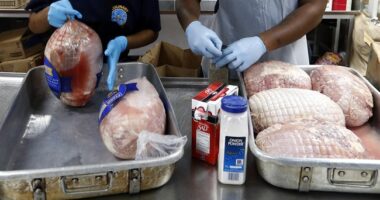 The Family-Run Businesses That Make Thanksgiving Possible – HotAir