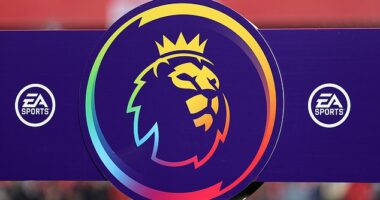 The Premier League has signed up to its own diversity programme after club complaints