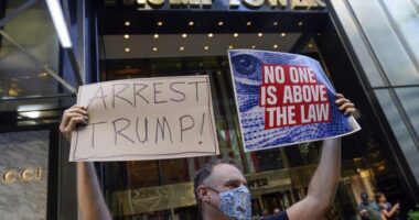 The Real Danger to Democracy—Trump Cabinet Nominees Face Death Threats, Bomb Scares, Swatting – RedState