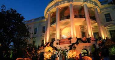 The U.S. election need not be scary. History shows this is the way to trade it, says Citi.