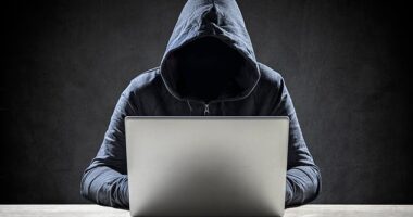 Booking.com's Chief Information Security Officer said there had been 'anywhere from a 500 to a 900% increase' in travel scams in the past 18 months (stock image)