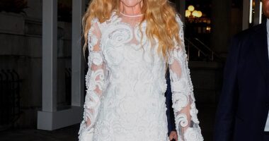 Nicole Kidman 's fans have started a heated debate over whether the actress has taken on too many acting roles within the last year