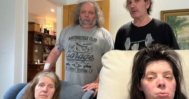 After the BBC's DIY SOS team took on the Chapman home, their lives were never the same again (Pictured left to right: Sarah, Peter, Steve and Suzanne Chapman in their Cheltenham home)